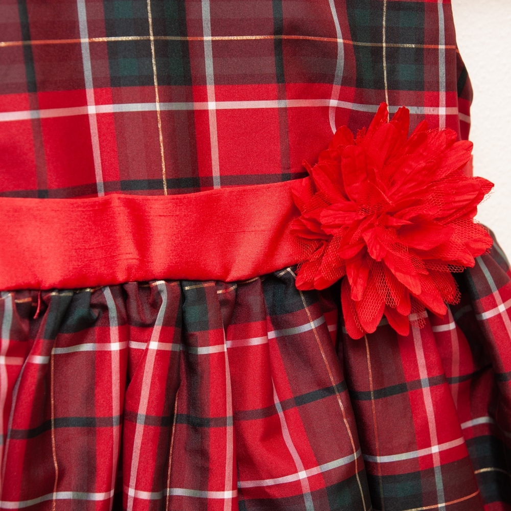 Plaid Holiday Dress - Picture 2 of 8